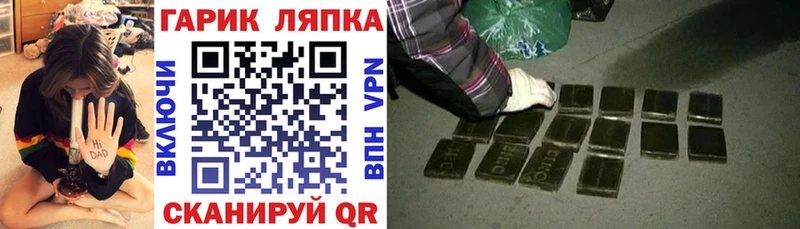 Гашиш индика сатива  как найти наркотики  МЕГА ТОР  Мичуринск 