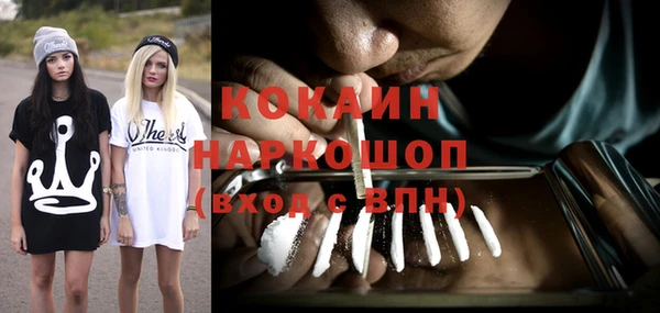 шишки Магадан