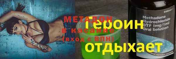 прущие грибы Медвежьегорск