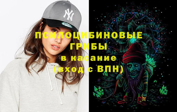 прущие грибы Медвежьегорск