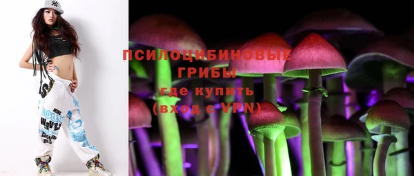герыч Медногорск