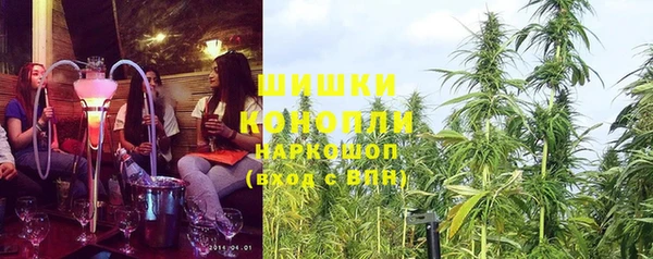 шишки Магадан