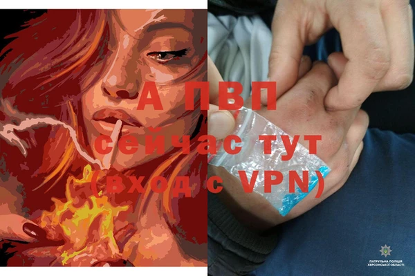 Альфа ПВП Майский