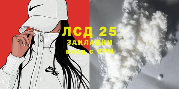 шишки Магадан