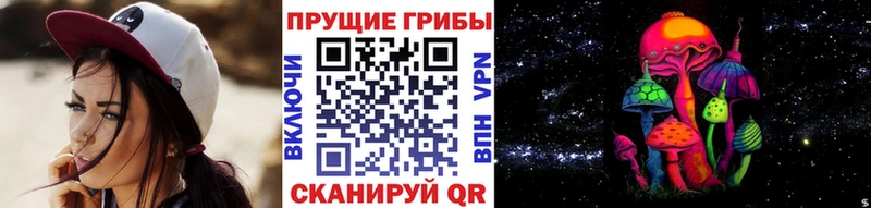 Галлюциногенные грибы MAGIC MUSHROOMS  маркетплейс состав  Мичуринск 