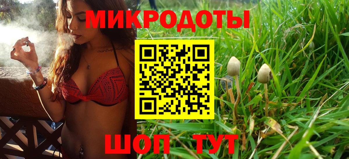 Галлюциногенные грибы прущие грибы Мичуринск