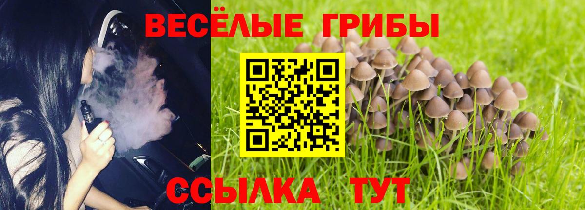 Галлюциногенные грибы Magic Shrooms Мичуринск