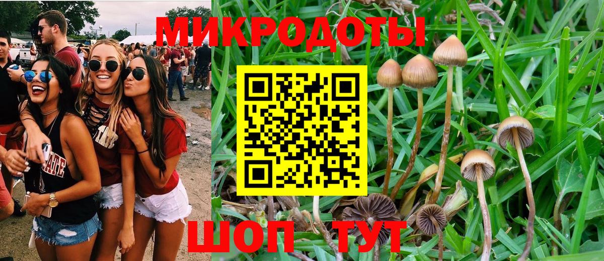 Псилоцибиновые грибы прущие грибы  закладки  Псилоцибиновые грибы прущие грибы  Мичуринск 