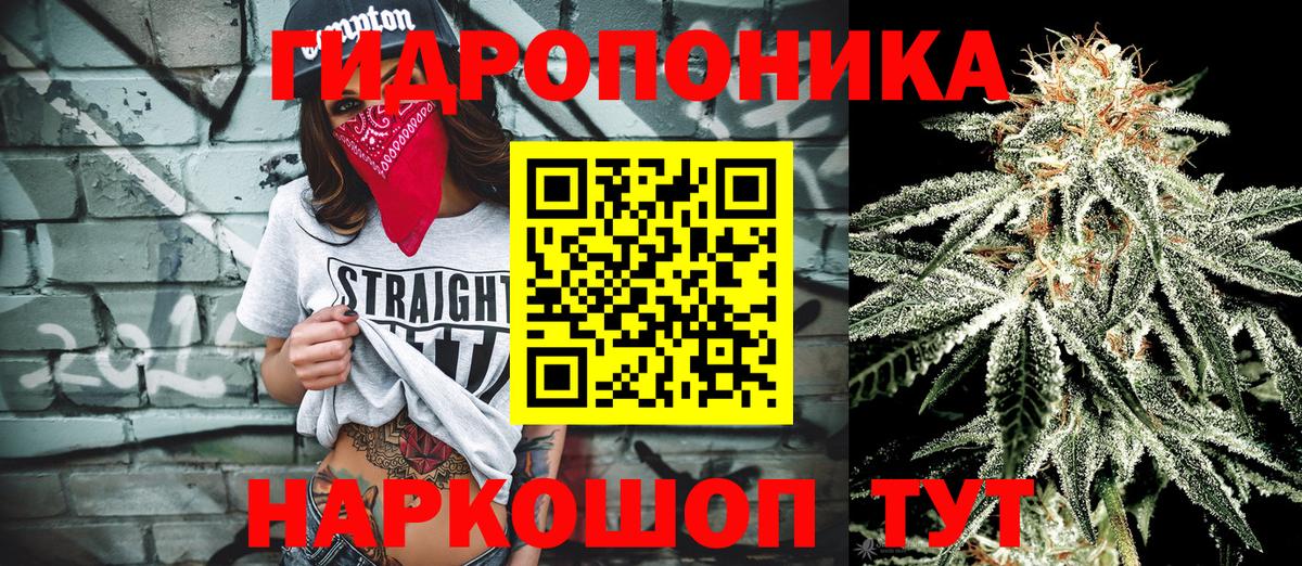 Шишки марихуана OG Kush  МАРИХУАНА гибрид  Канабис тримм  Вход с VPN  Мичуринск 